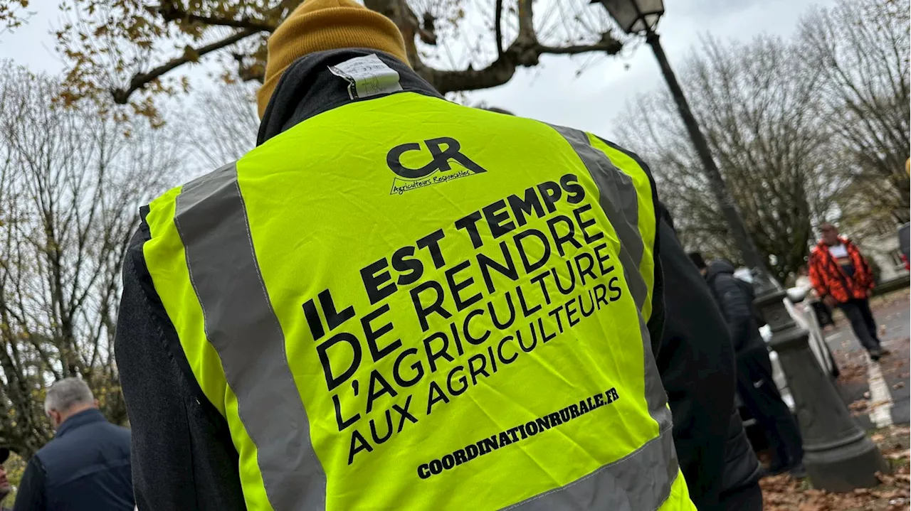 Agriculteurs bloqués à 50 km de Paris, se replient vers Orléans