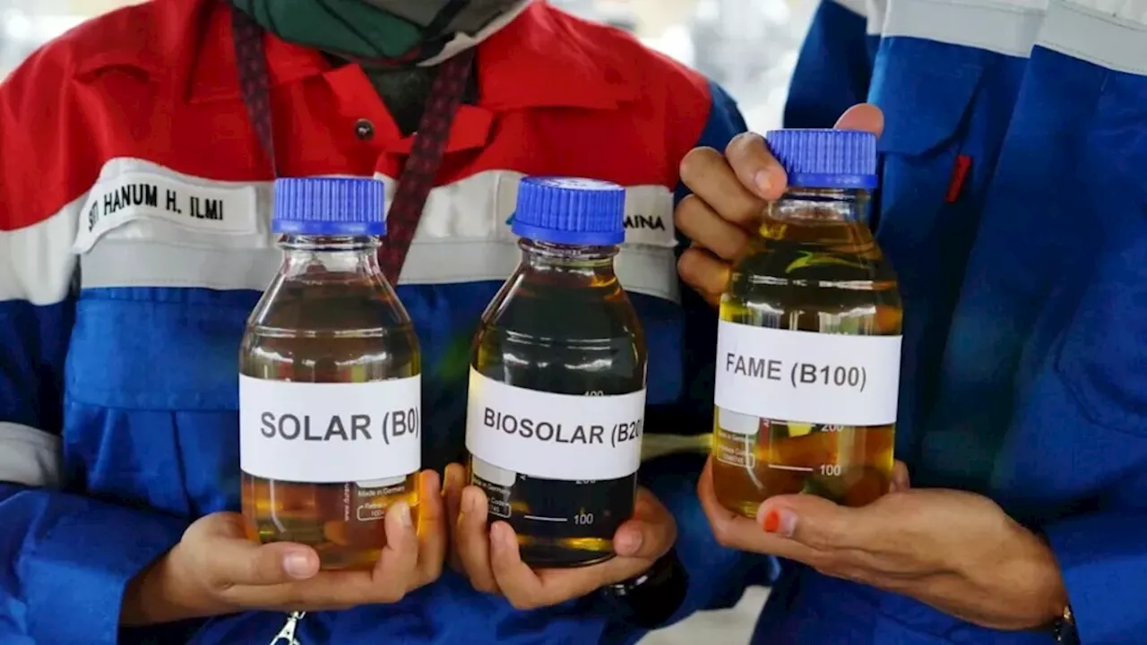 Indonesia Menjalankan Program Biodiesel B40 pada 2025