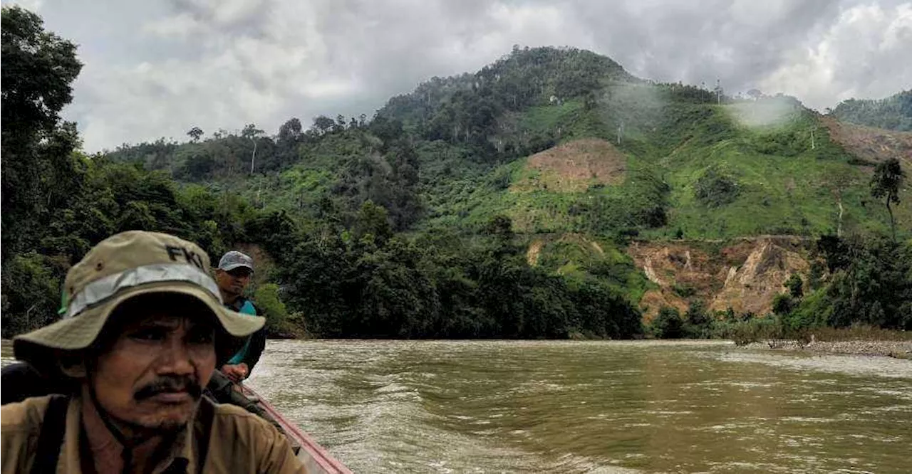 Indonesia Faces Backlash Over Plan to Clear 20 Million Hectares of Forest