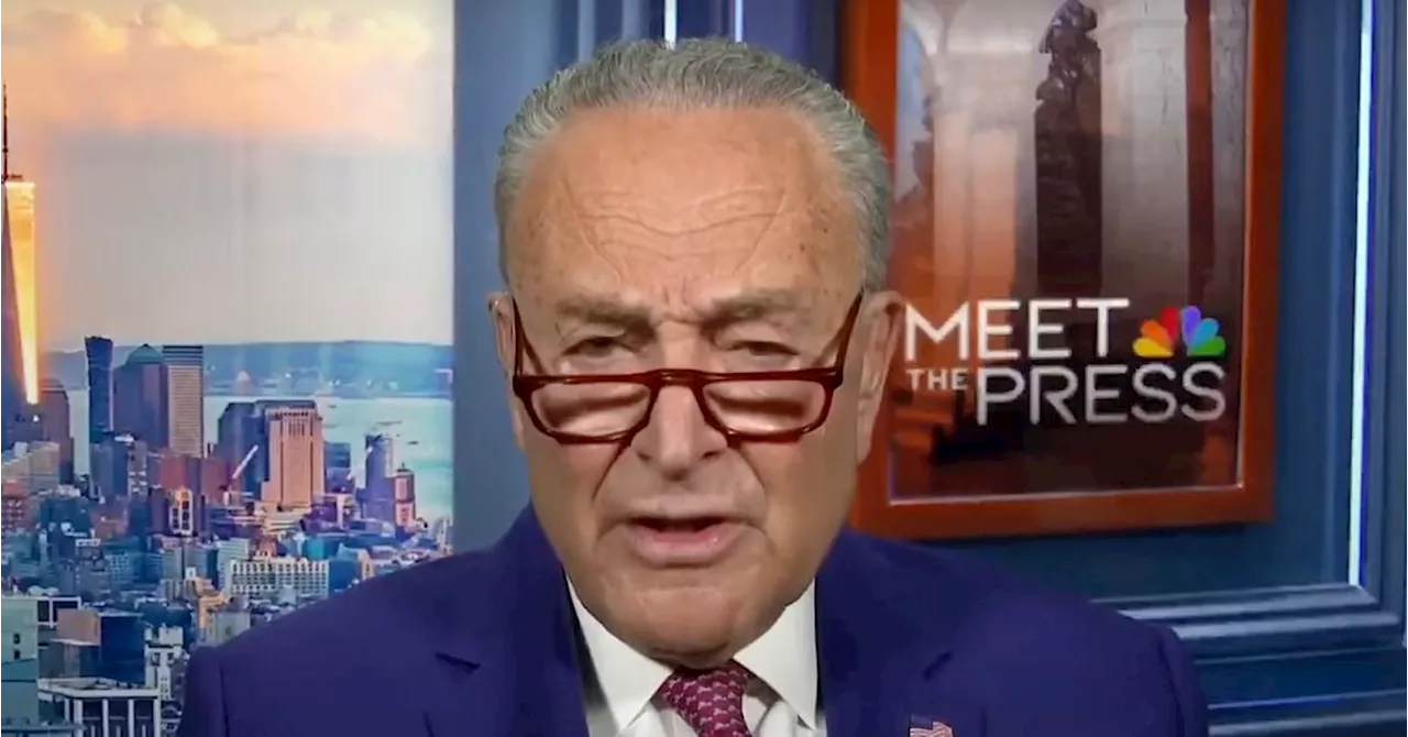 Schumer Defends Biden's Mental Acuity, Says He 'Salutes' Former President's Decision to Step Down