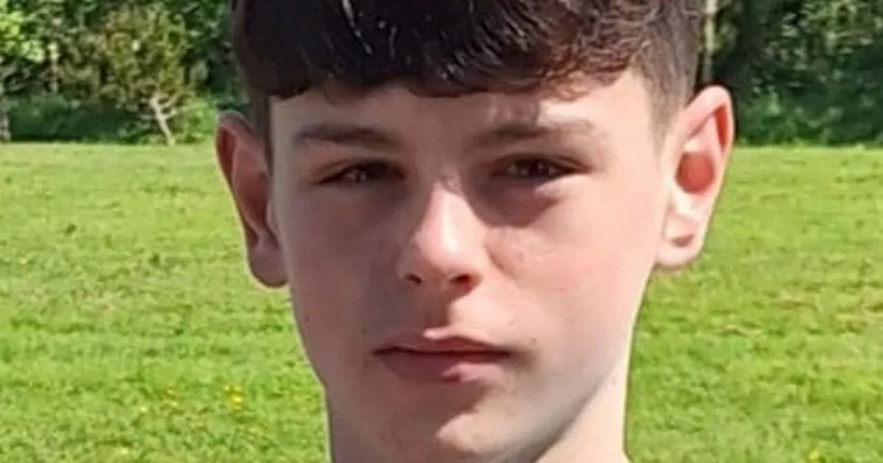 Urgent Search for Missing Westmeath Teenager