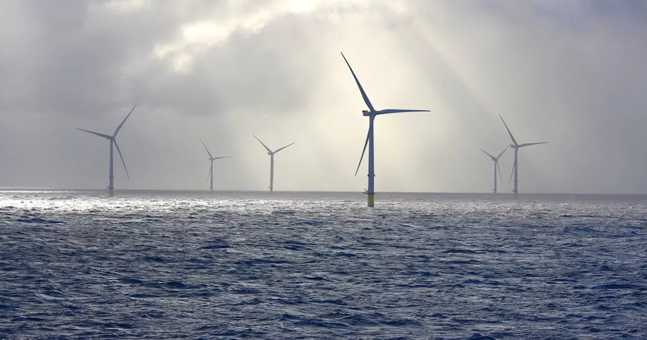 40% of Ireland's Energy Generated by Wind in December