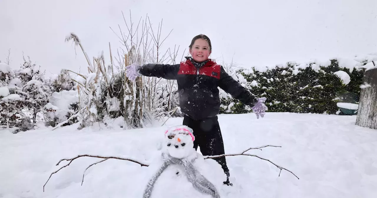 Irish Schools Close Due to Snow News