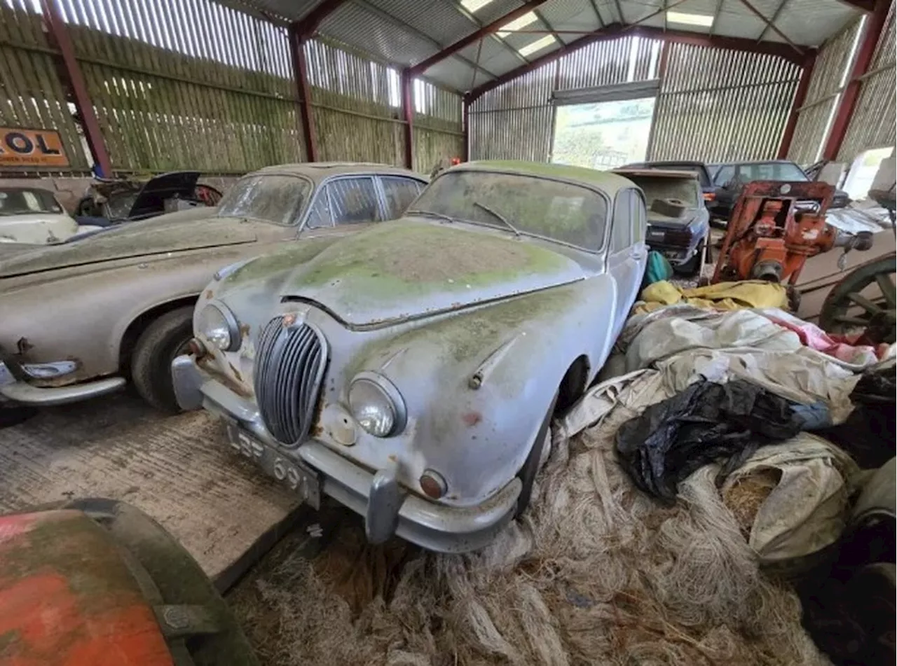 Explorador encontra depósito com carros antigos avaliados em R$ 7,5 milhões