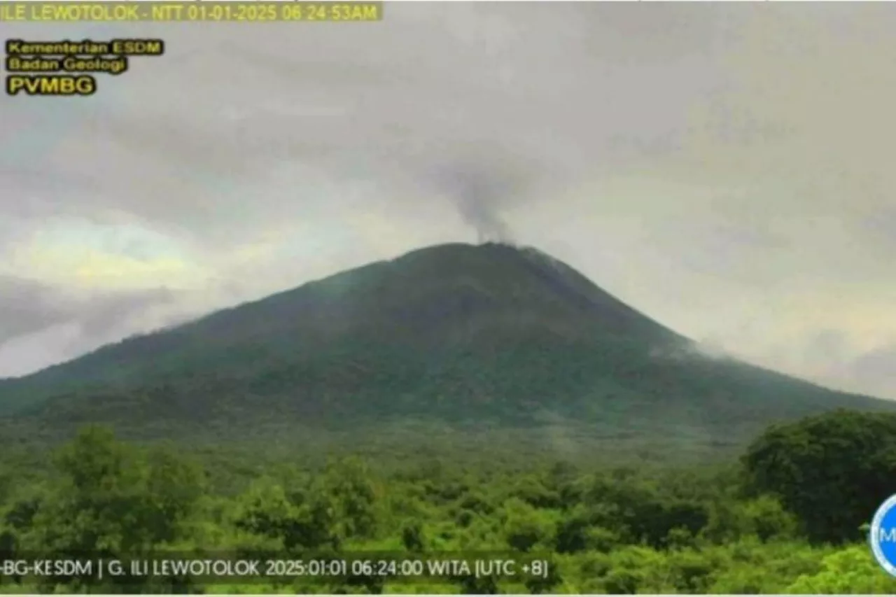 Aktivitas Gunung Ili Lewotolok Tetap Tinggi