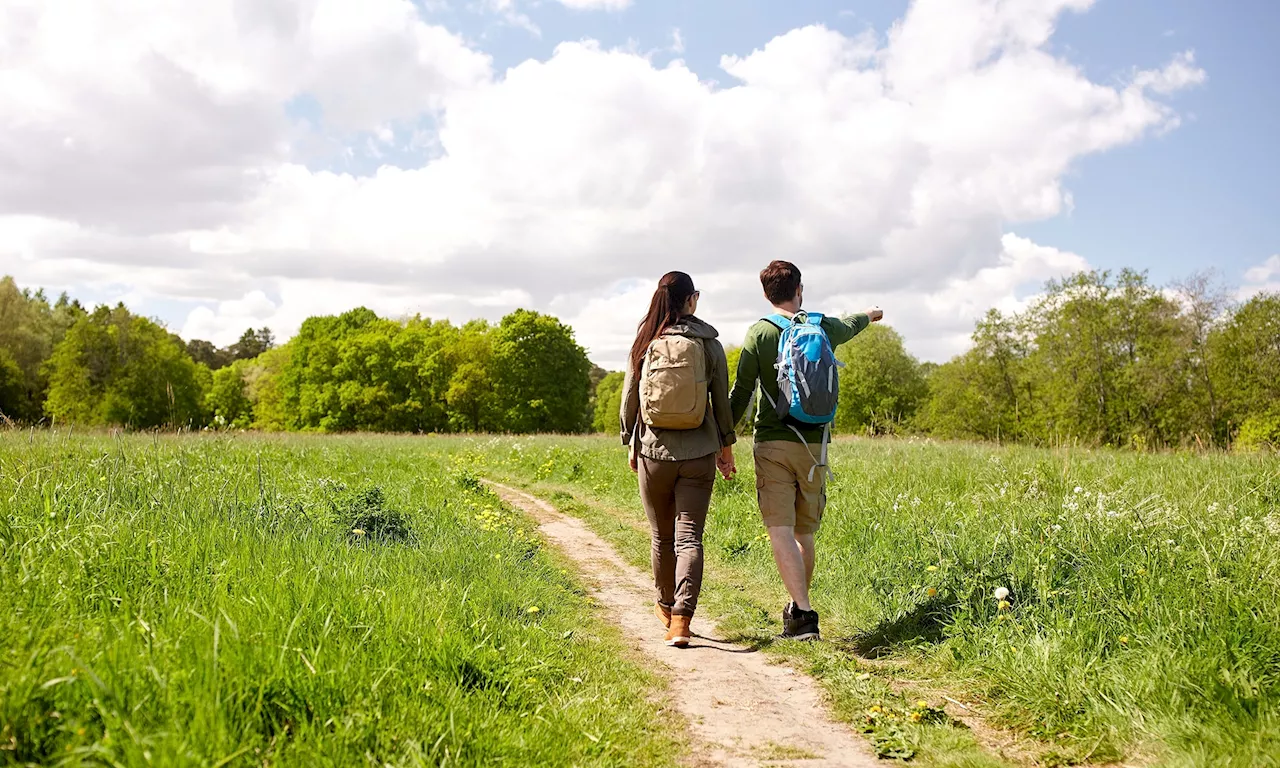 Über 20 Wanderungen rund um Köln