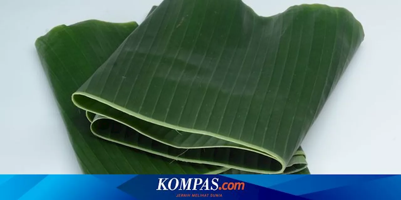 Manfaat Daun Pisang untuk Kesehatan, Bisa Mencegah Penyakit Apa?