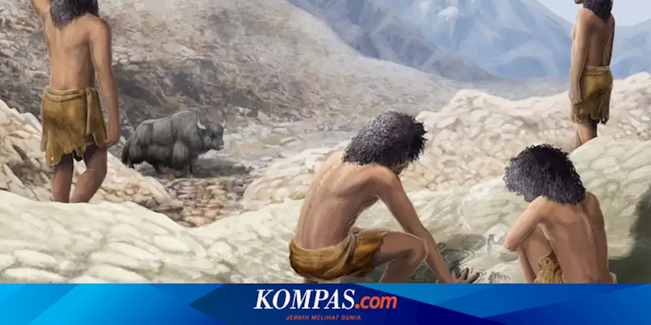 Peneliti Klaim Menemukan Spesies Manusia Berkepala Besar di Asia Timur