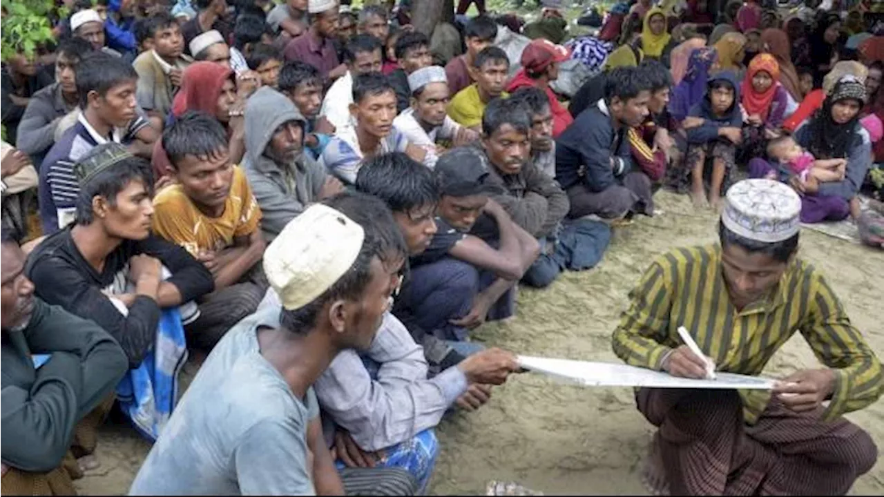 260 Lebih Pengungsi Rohingya Tiba di Aceh