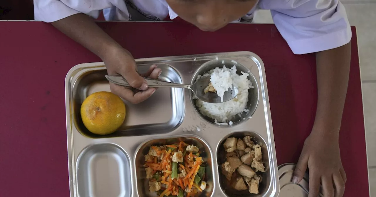 Indonesia Launches Ambitious Free Meal Program for Children and Pregnant Women