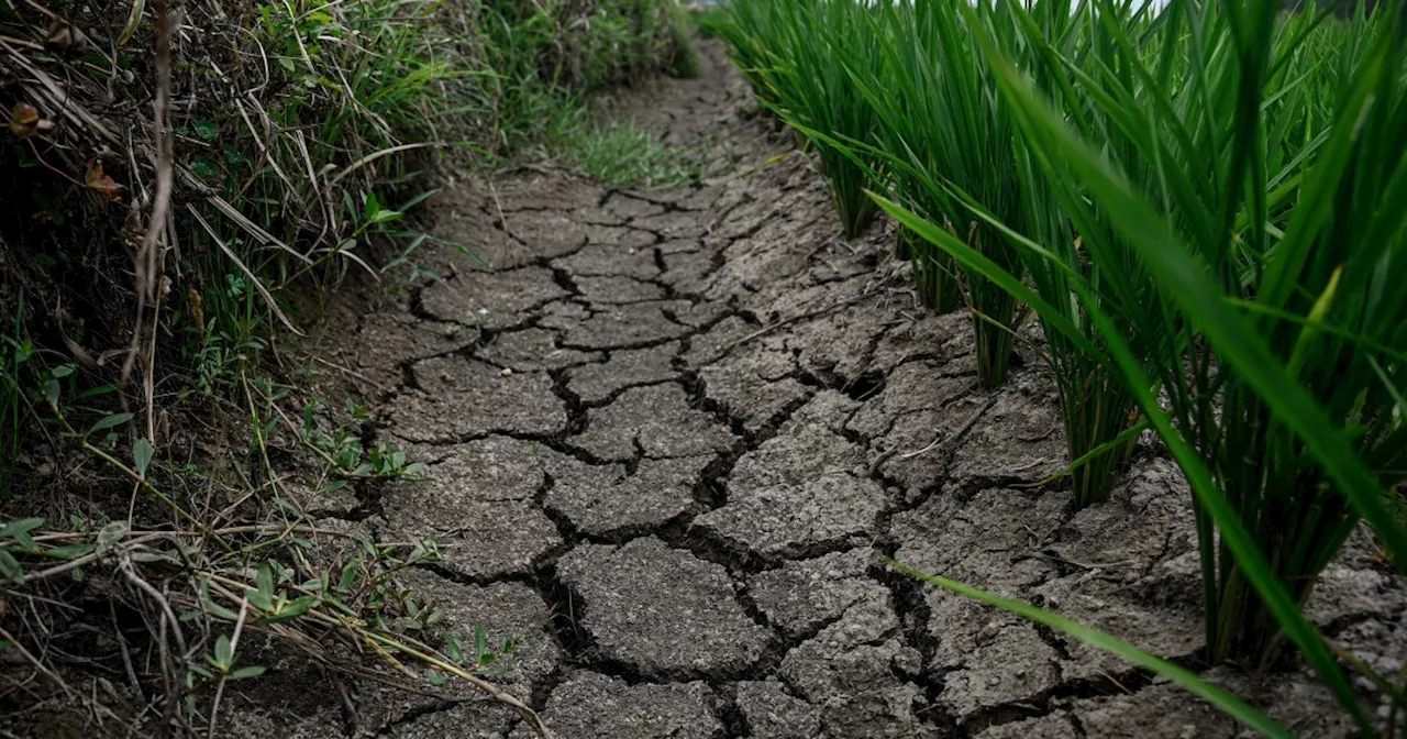 Global Warming Turns Earth Drier and Saltier, Threatening Humanity