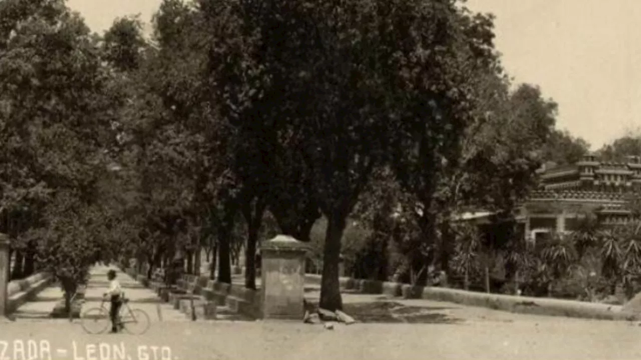 Así estaba el paseo del Arco de la Calzada repleto de árboles, y había mansiones