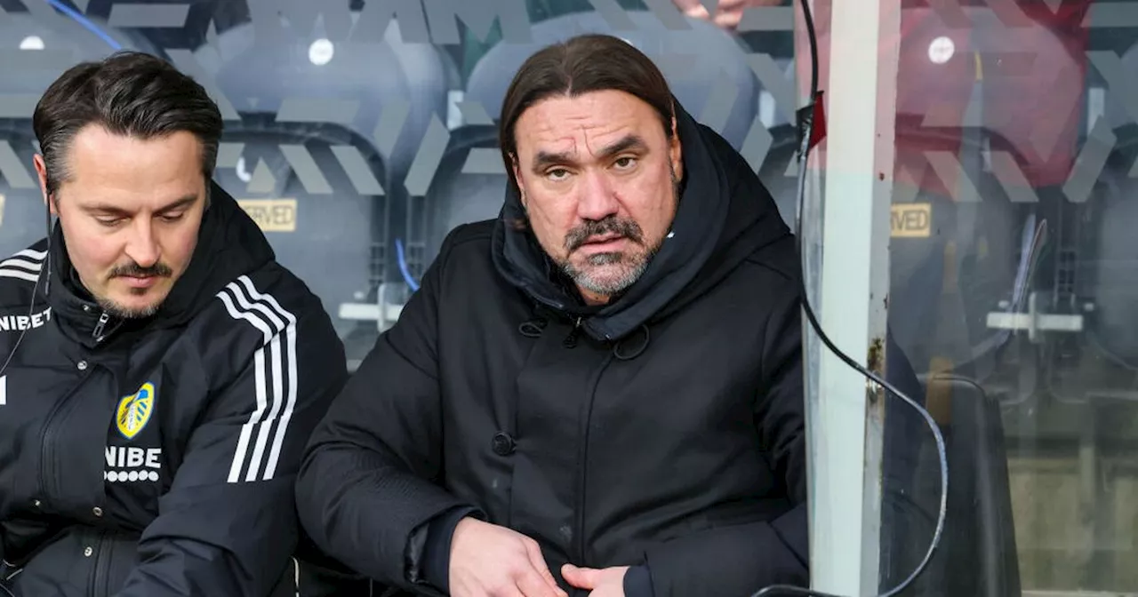 Leeds United's Youth Movement Faces Challenges Under Daniel Farke