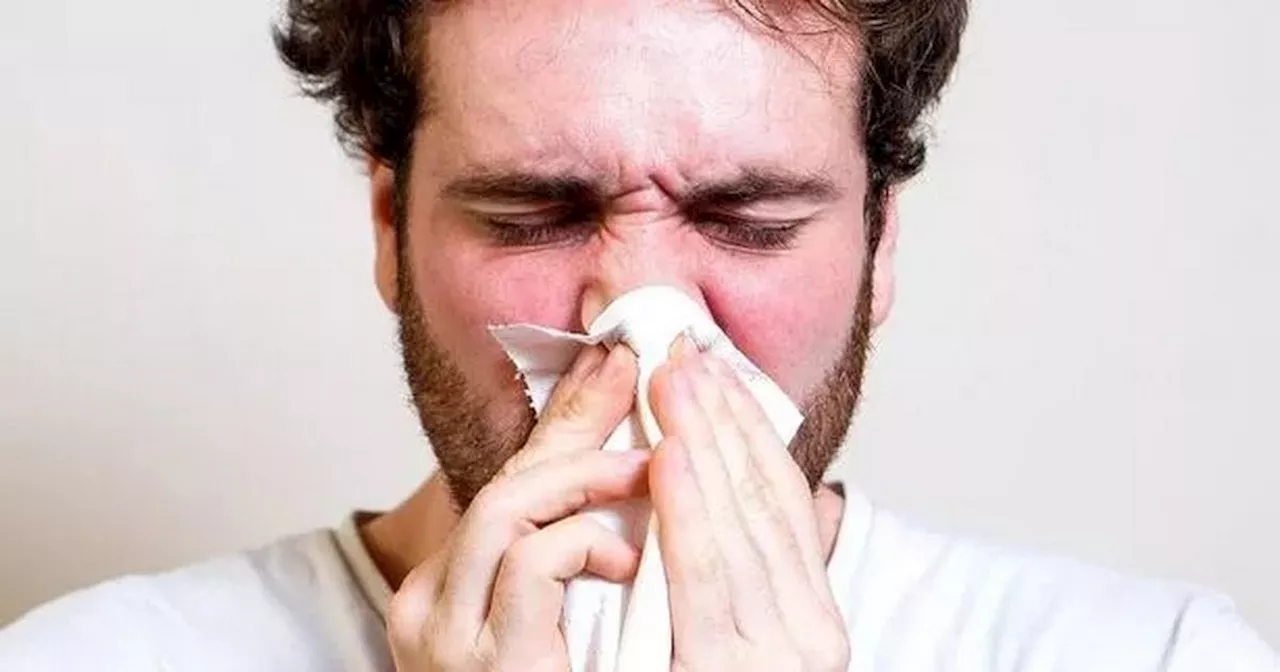 Three red flags you have flu not a cold as thousands hospitalised