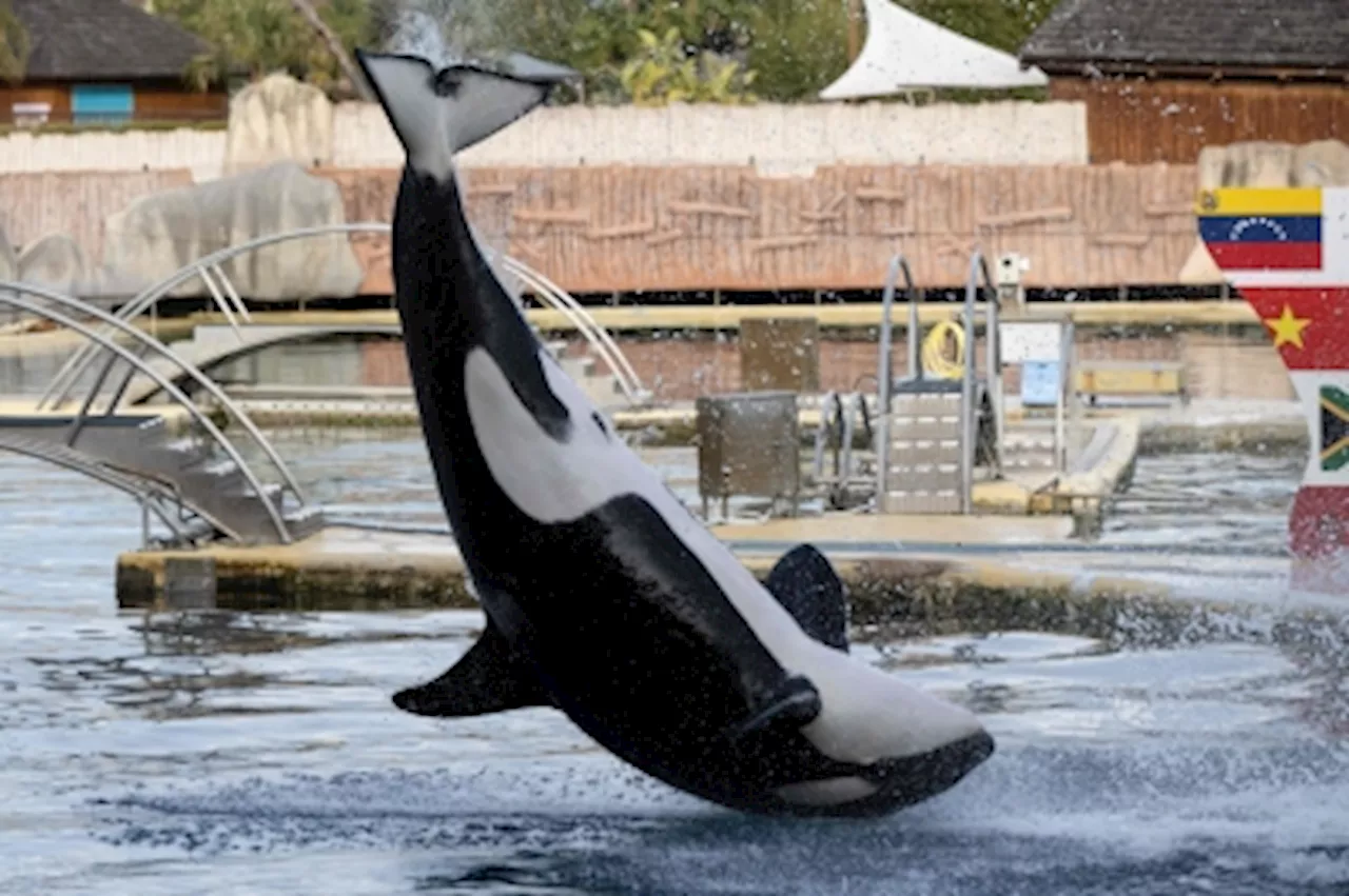 French Marine Park Closes Down Indefinitely, Leaving Fate of Animals Uncertain