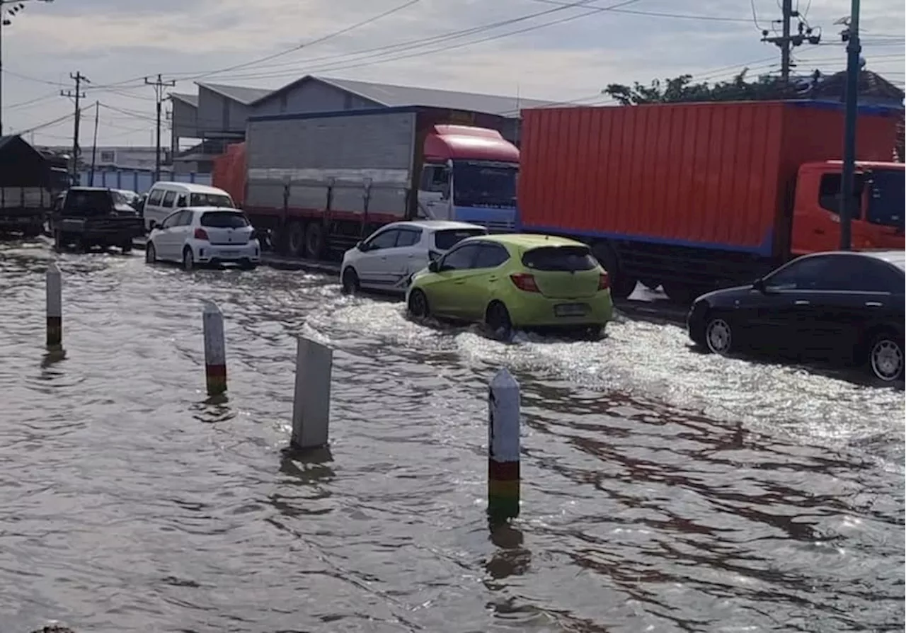 Banjir Rob Mengganas di Pantura Jawa Tengah