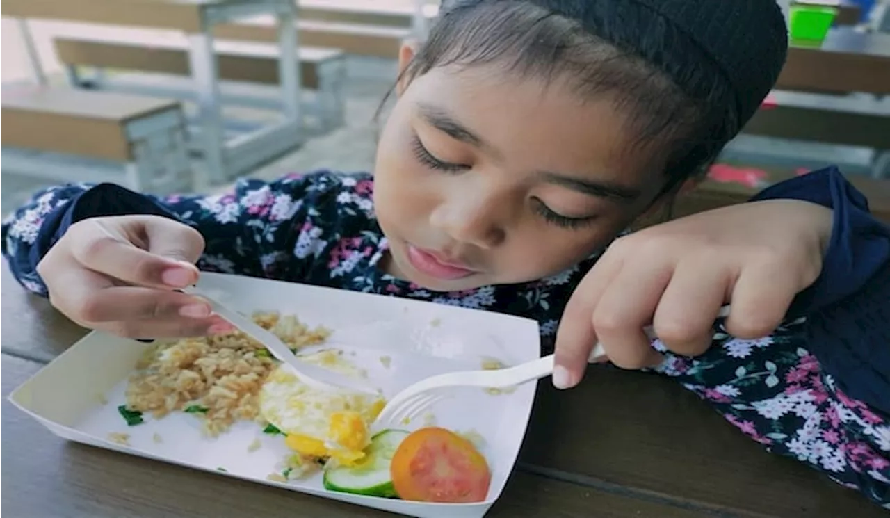 Wakil Ketua MPR Program Makan Bergizi Gratis Harus Berdampak Luas