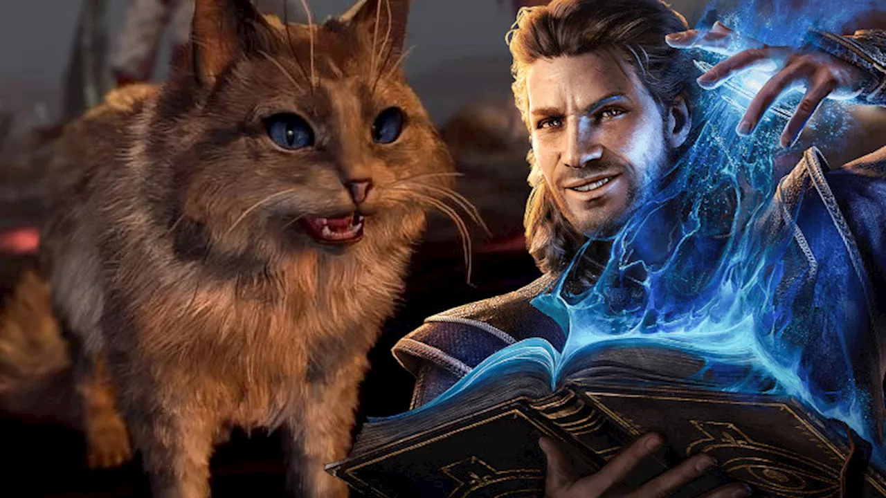 Baldur’s Gate 3: So spielbar ist die Katze-Form