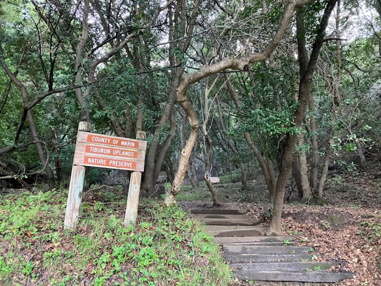 Hike the Tiburon Uplands Trail