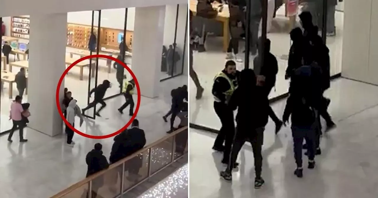 Shoppers flee in panic as youths raid busy Apple Store