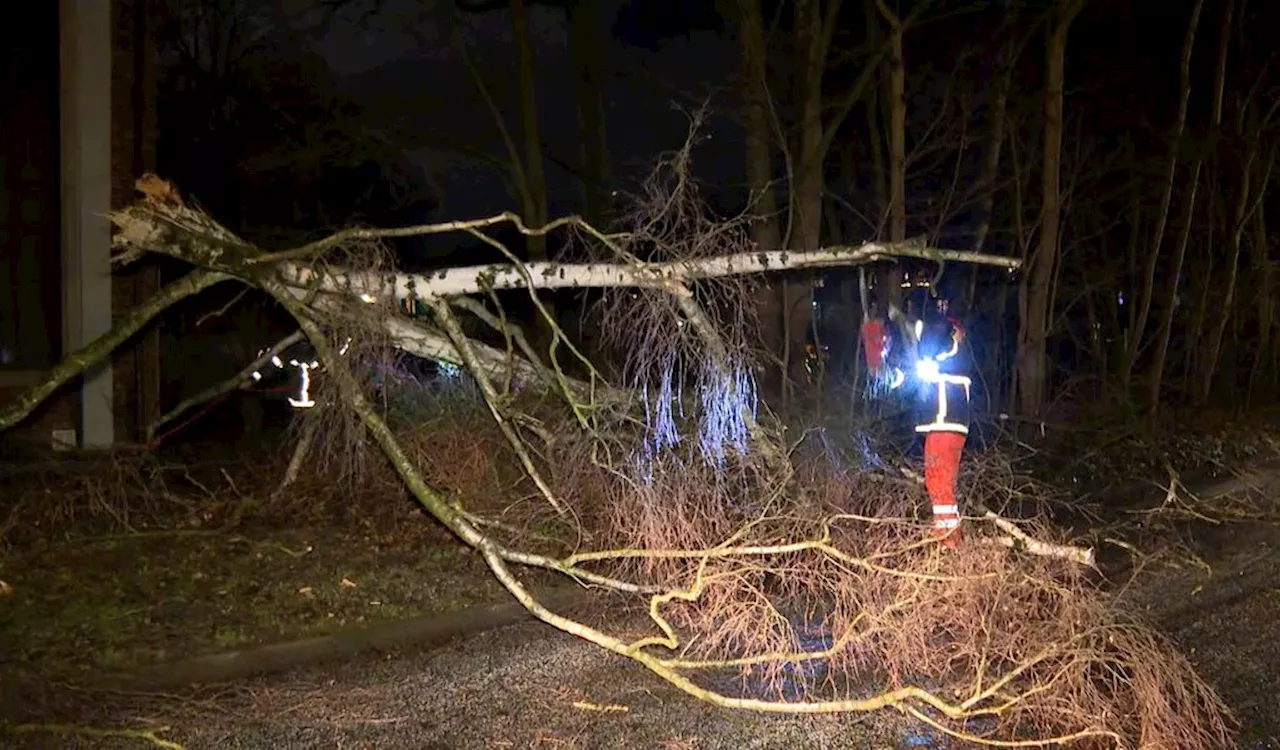 Sturm verwüstet Hamburg: Zahlreiche Einsätze für die Feuerwehr