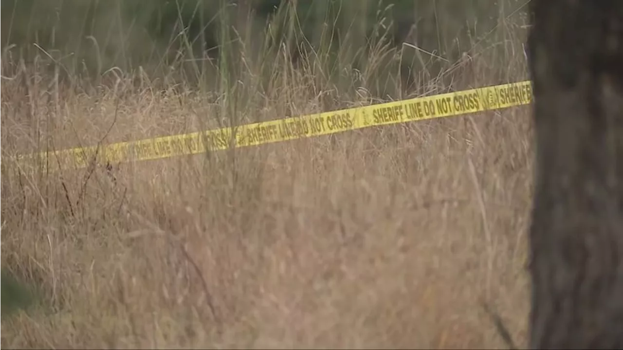 Body Found in Pierce County Nature Preserve, Homicide Investigation Underway