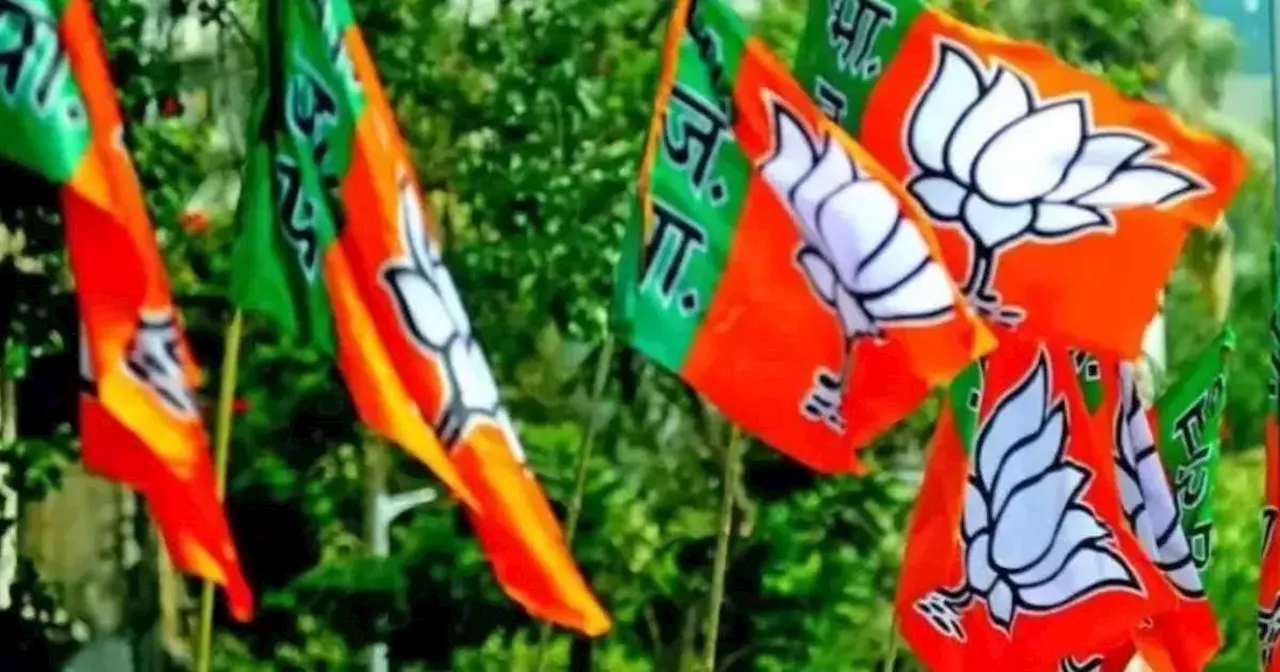 Chhattisgarh BJP: बीजेपी ने घोषित की नई लिस्ट, 19 जिलों में नए अध्यक्षों की नियुक्ति, जानें किसे-किसे मिली जिम्मेदारी