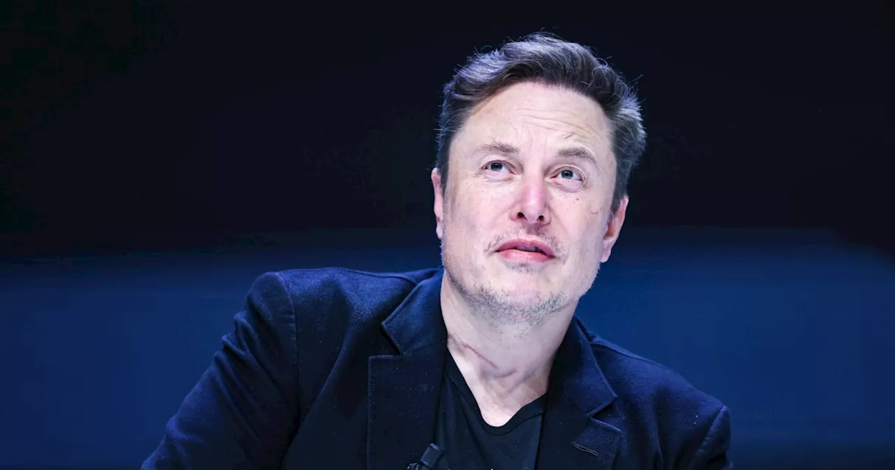 European Leaders Rebuff Elon Musk's Political Influence