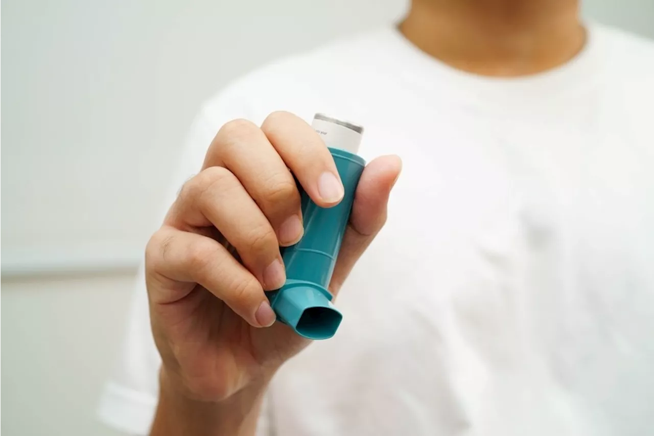 Study finds no clinical advantage of budesonide inhaler over fluticasone in COPD