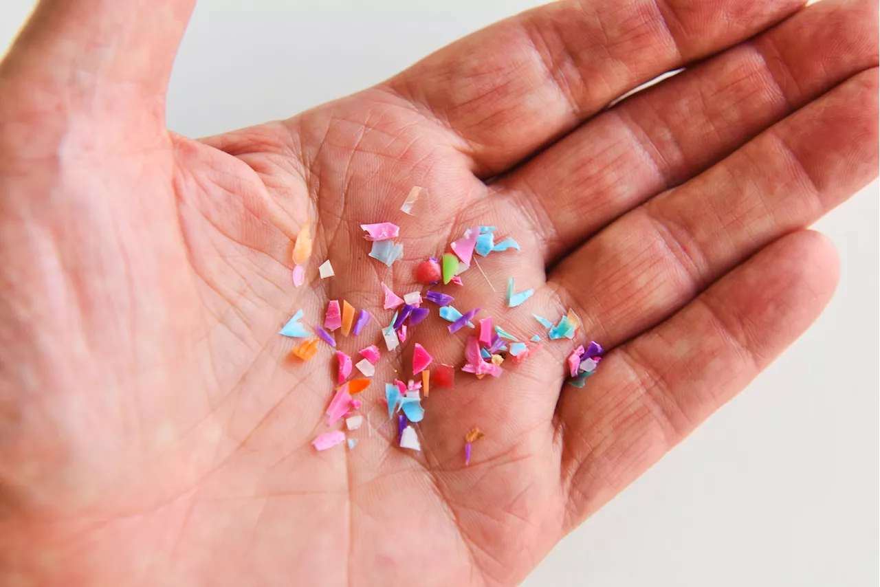 Microplastics: The Hidden Threat in Our Food, Water, and Air