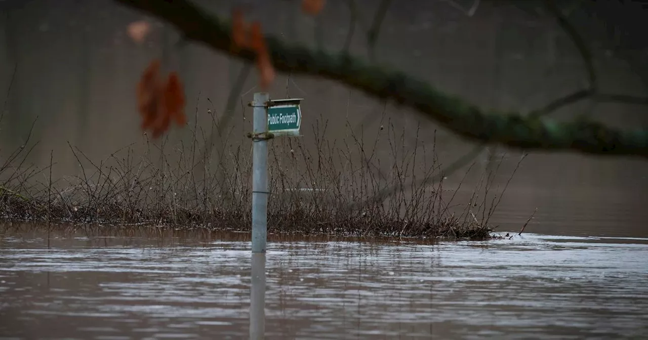 Flood Warnings Across Nottinghamshire as Heavy Rain Hits