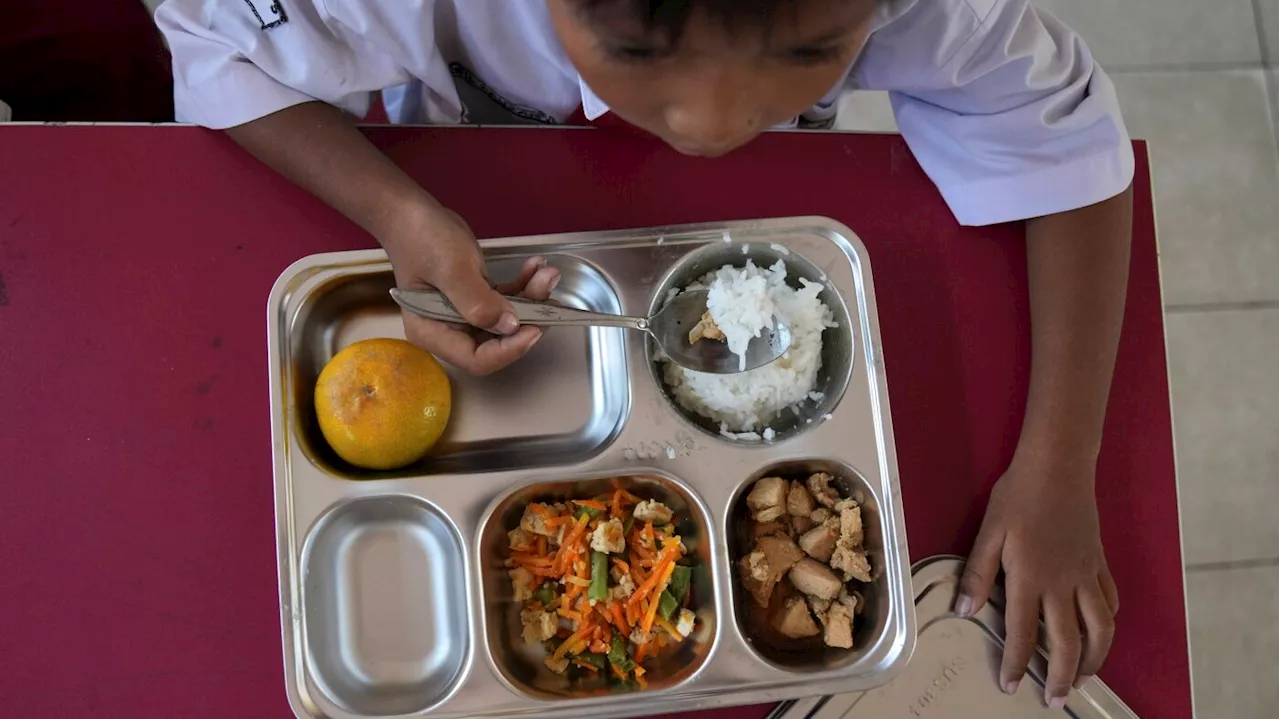 Indonesia Launches Ambitious Free Meal Program for Children and Pregnant Women