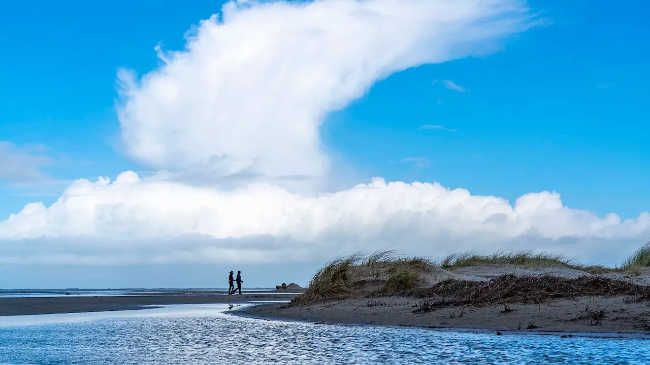 Kokainfunde an den Stränden von Borkum und Juist