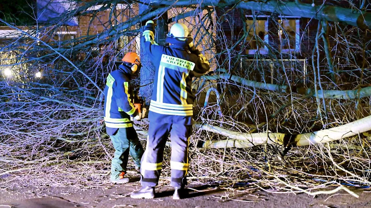 Nordrhein-Westfalen: Sturm weht Bäume um: Zuglinien in NRW gesperrt