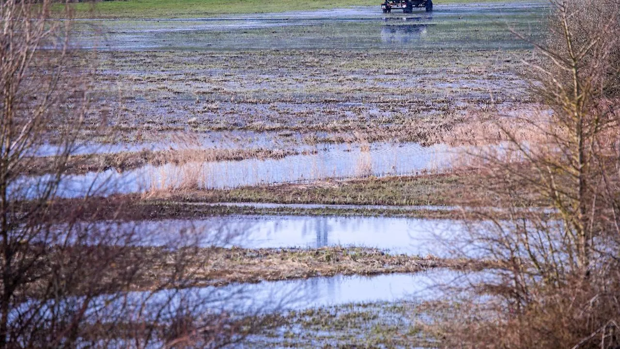 Sachsen-Anhalt: Grundwasserstände in Sachsen-Anhalt haben sich erholt