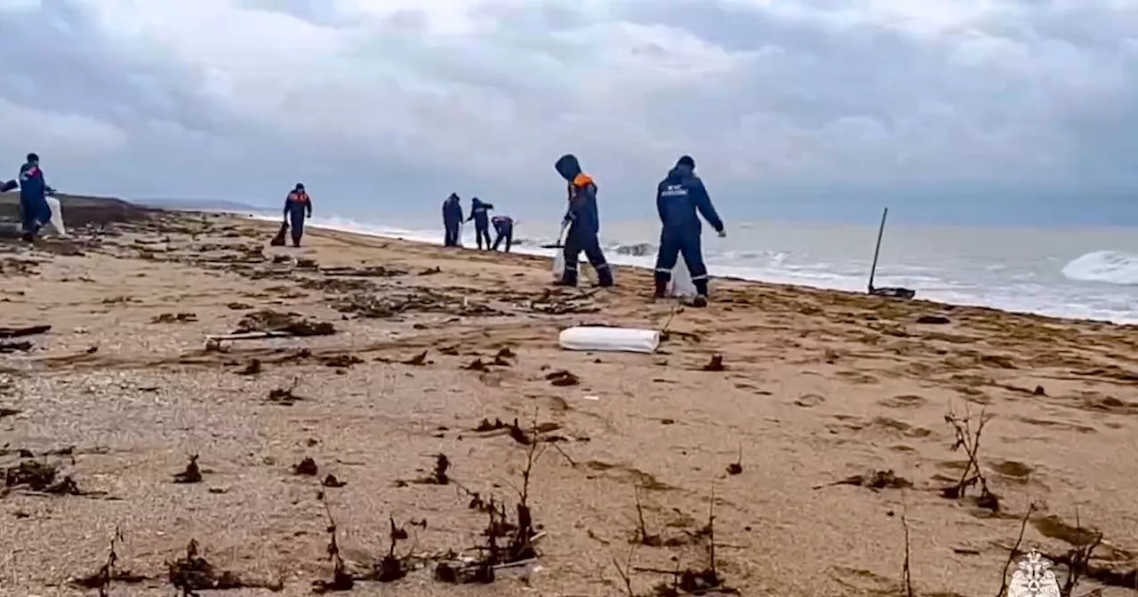 Immer mehr Delfine verenden wegen Ölpest im Schwarzen Meer