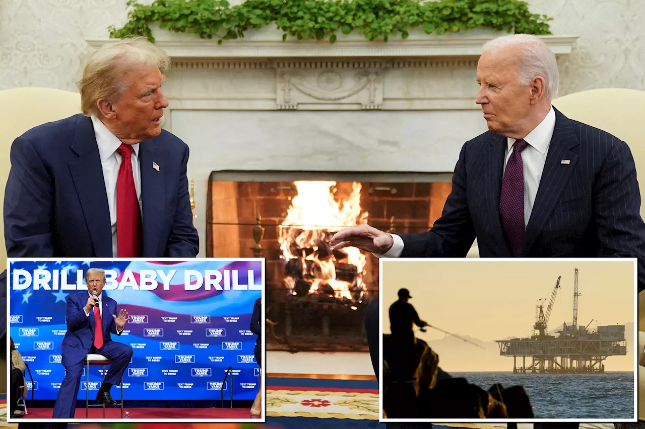 Trump accuses Biden of making transition 'as difficult as possible' after prez's 11th-hour decisions on drilling