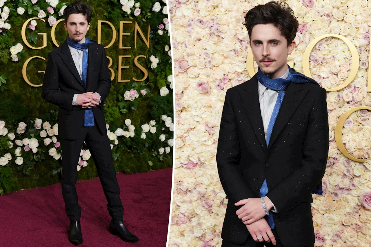 Timothée Chalamet Channels Bob Dylan at 2025 Golden Globes