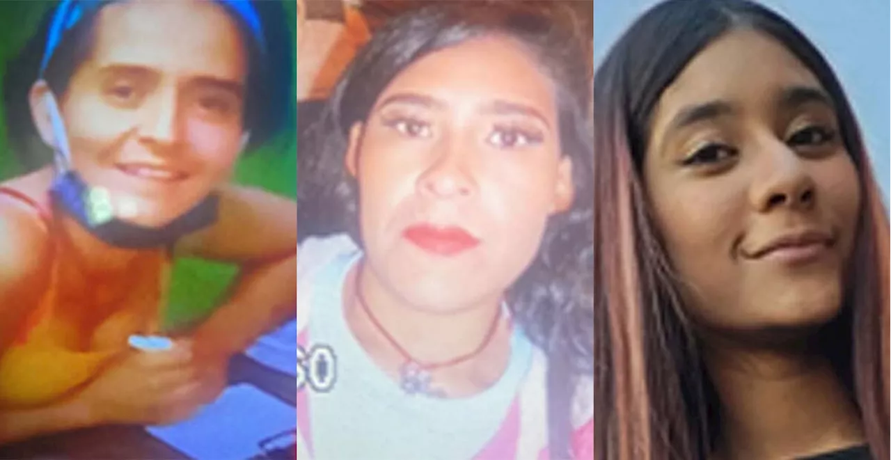 Activan Protocolo Alba en Guanajuato por Desaparecimiento de Tres Mujeres