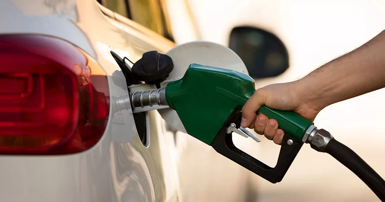 Precios de Gasolina en Guanajuato para la Semana del 5 al 11 de Enero de 2025