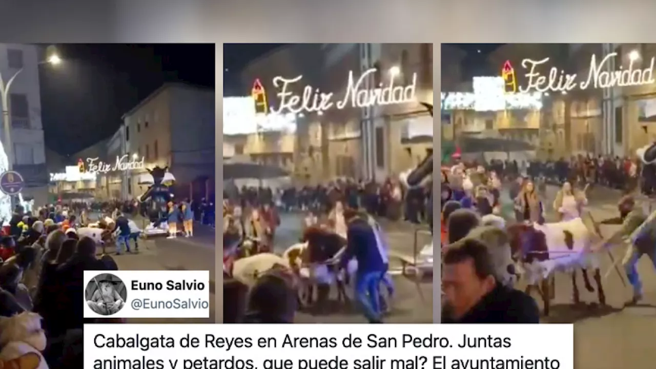 Cabalgata con bueyes y petardos termina en estampida en Ávila