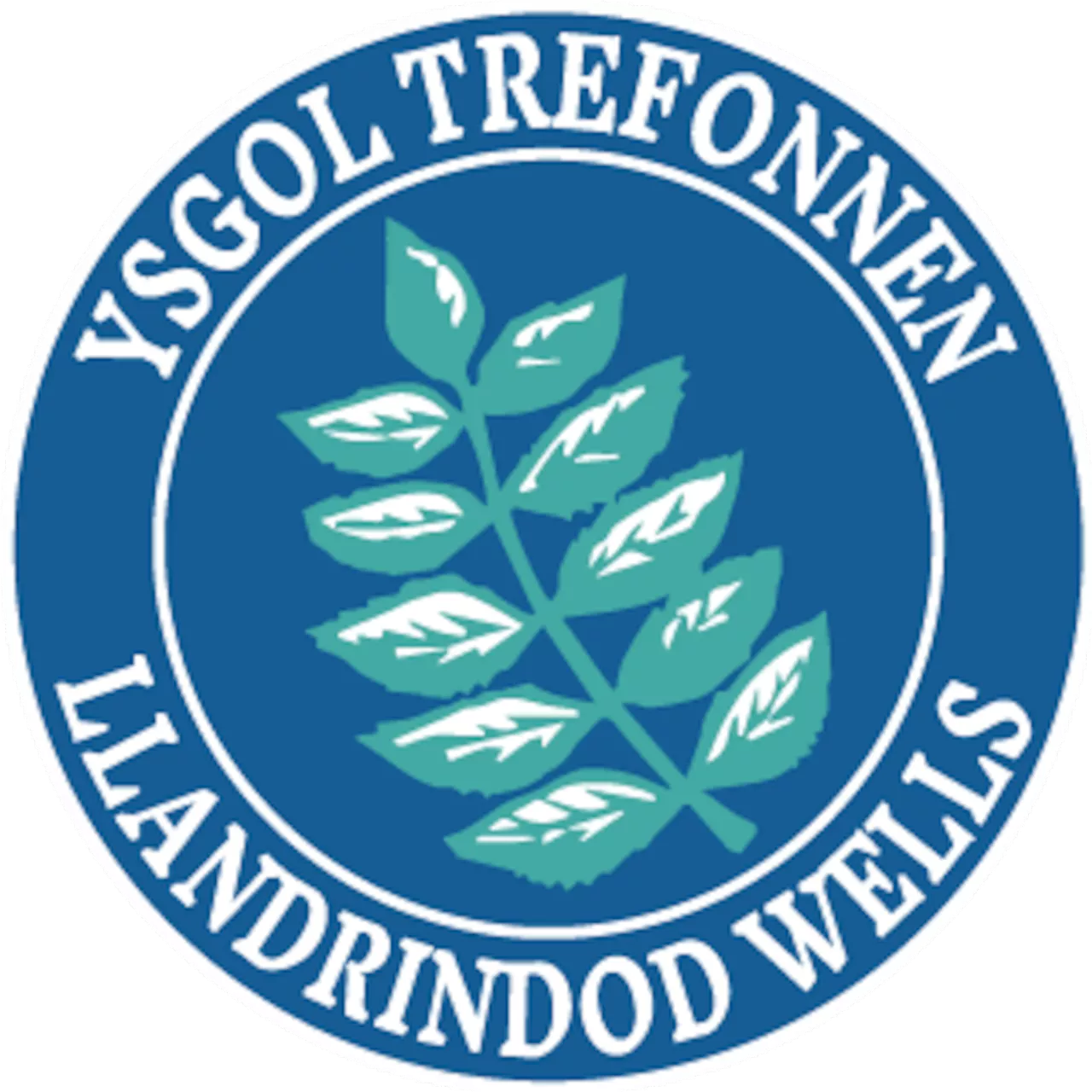 Llandrindod Wells Town Council Seeks School Governor for Ysgol Trefonnen