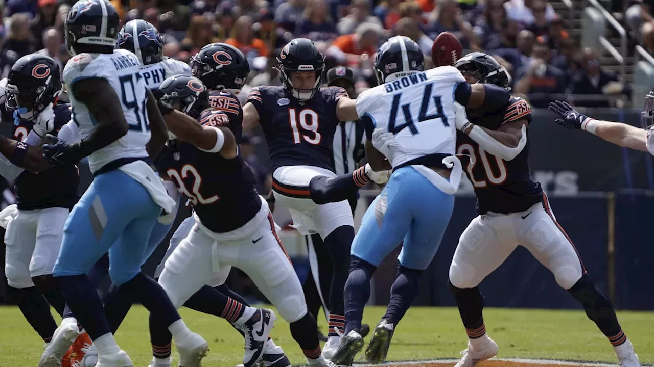 Chicago Bears Rookie Punter Sets Records and Exceeds Expectations NFL