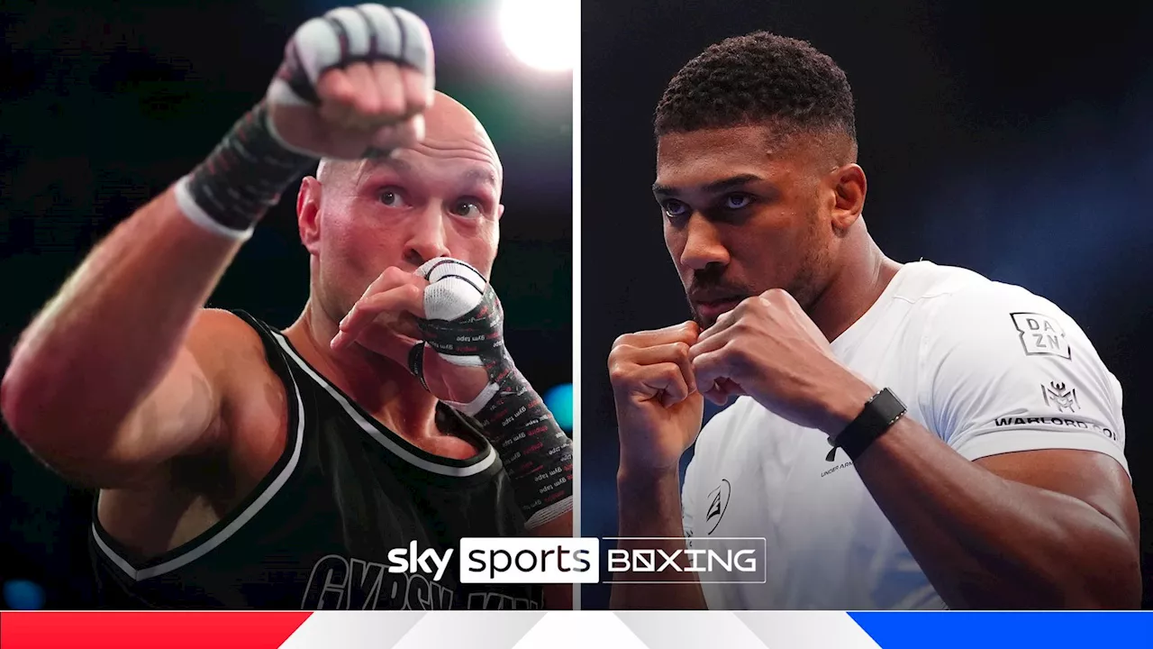 Fury vs Joshua: Title-less Fight Still a 'Wonderful Thing'