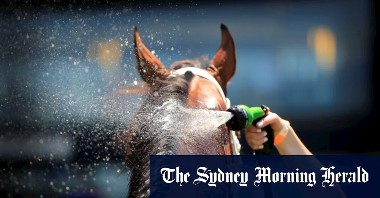 Race-by-race tips and previews for Taree on Tuesday