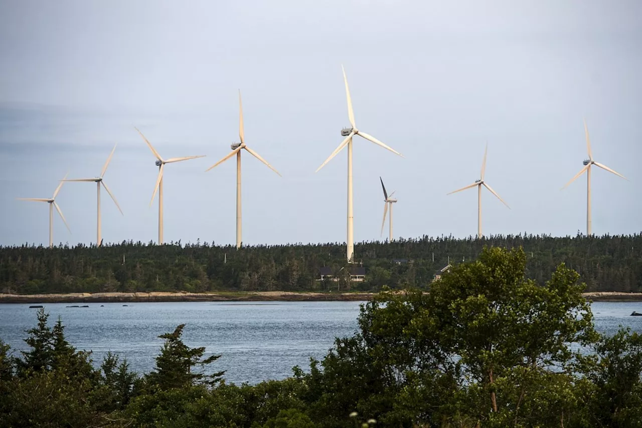 Nova Scotia paper mill to be powered by wind farm with financing from federal agency