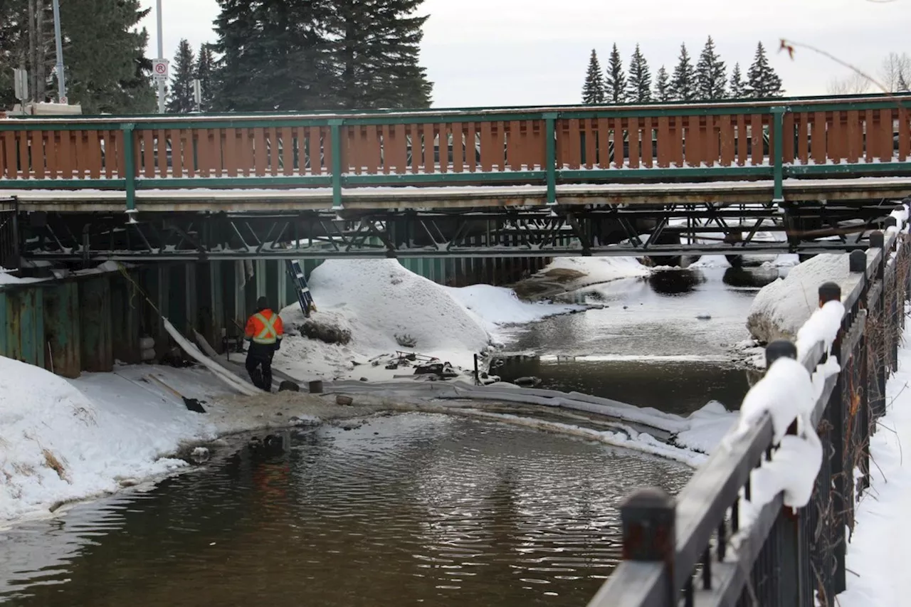 Oily Sheen in Casino Creek Sparks Cleanup Efforts