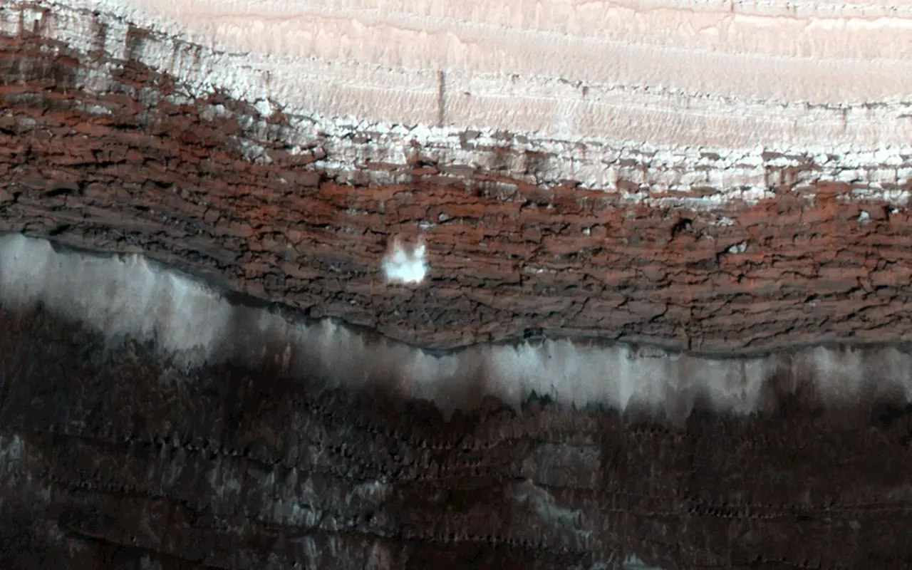 Martian New Year: A Spring of Gas Geysers and Avalanches