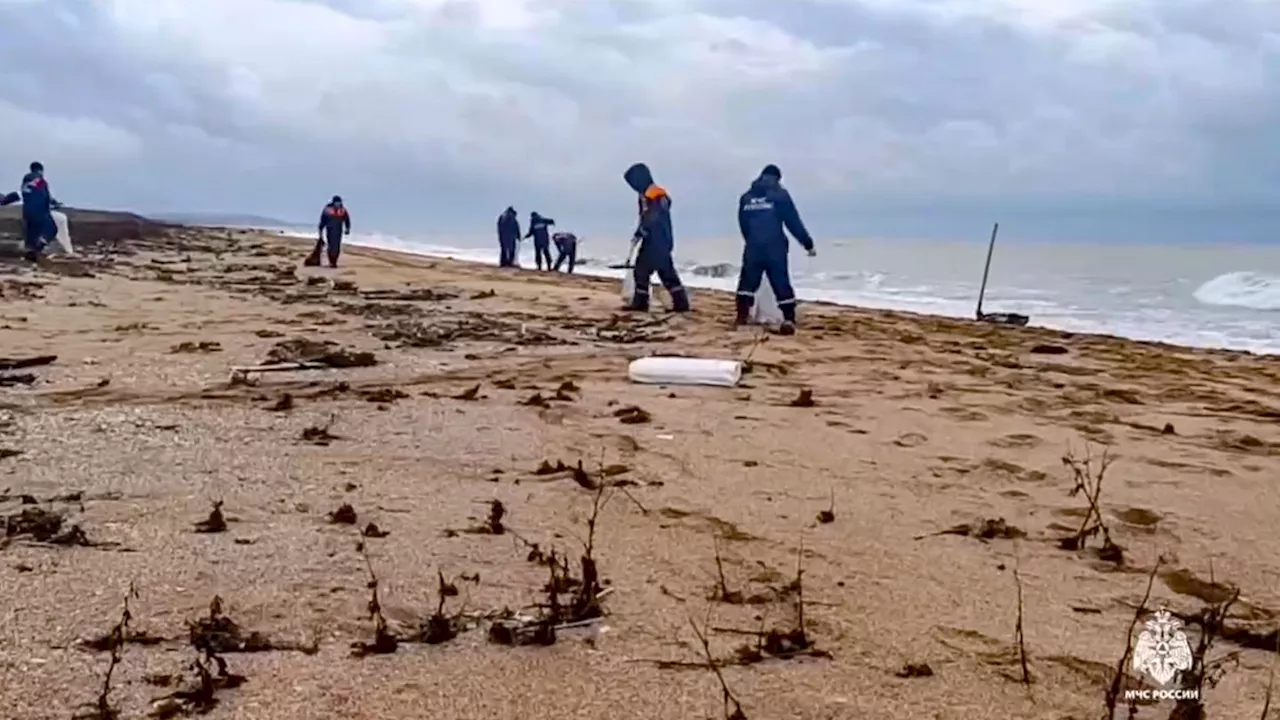 Ölpest im Schwarzen Meer: Todestoll unter Delfinen steigt