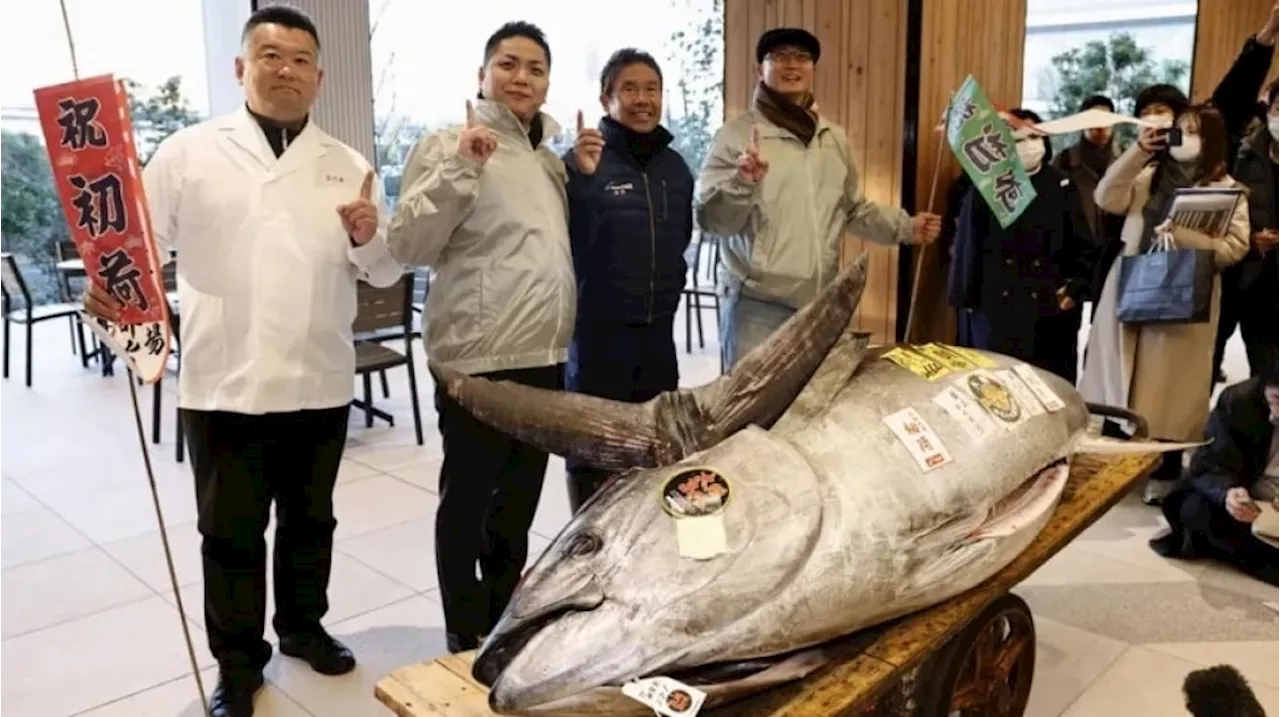 Ikan Tuna Jumbo Terjual 32 Miliar Rupiah di Lelang Tahun Baru Tokyo